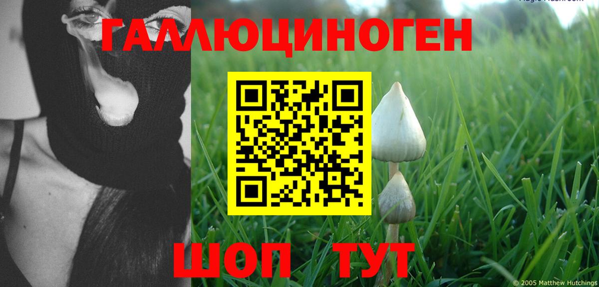 Галлюциногенные грибы Magic Shrooms Тула