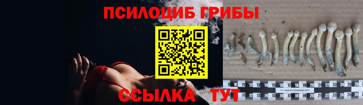 Тула  Псилоцибиновые грибы ЛСД  Вход с VPN 